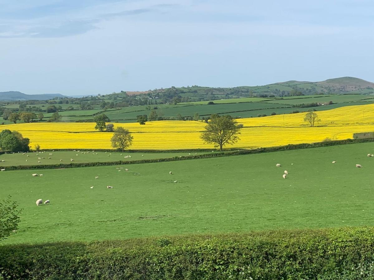 Upper Home Farm Plaish Exterior foto